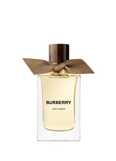 burberry atkı beymen|burberry signatures for men.